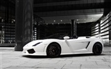 BF performance Lamborghini Gallardo Spyder GT600 - 2010 兰博基尼2