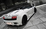 BF performance Lamborghini Gallardo Spyder GT600 - 2010 兰博基尼4