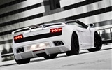 BF performance Lamborghini Gallardo Spyder GT600 - 2010 HD wallpaper #6