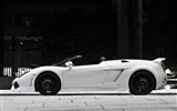 Rendimiento de BF Lamborghini Gallardo Spyder GT600 - 2010 fondos de escritorio de alta definición #7