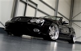 Wheelsandmore Mercedes-Benz SL Maxx - 2009 奔驰1