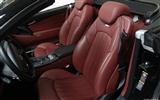 Wheelsandmore Mercedes-Benz SL Maxx - 2009 奔馳 #10