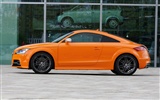 Audi TTS Coupe - 2010 奥迪4