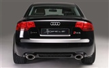 Hofele Audi A4 B6 B7 奧迪 #5