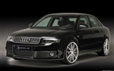 Hofele Audi A4 B6 B7 HD tapetu #11