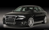 Audi A4 B6 Hofele B7 fond d'écran HD #12