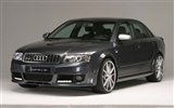 Hofele Audi A4 B6 B7 HD tapetu #13