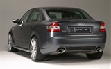 Audi A4 B6 Hofele B7 fond d'écran HD #14