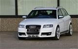 Hofele Audi A4 B6 B7 奥迪17