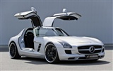 Hamann Mercedes-Benz SLS AMG - 2010 fondos de escritorio de alta definición