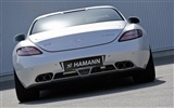 Hamann Mercedes-Benz SLS AMG - 2010 HD Wallpaper #9