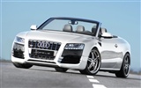 Hofele Audi A3 S3 A4 B6 Cabrio 8PA A5 B8 Coupé HD Wallpaper