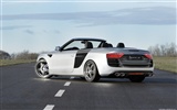 Hofele Audi A3 S3 8PA A4 B6 Cabrio A5 B8 Coupe 奥迪3