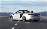 Hofele Audi A3 S3 A4 B6 Cabrio 8PA A5 B8 Coupé HD Wallpaper #4