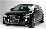 Hofele Audi A3 S3 8PA A4 B6 Cabrio A5 B8 Coupe 奥迪5