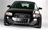 Hofele Audi A3 S3 8PA A4 B6 Cabrio A5 B8 Coupe HD wallpaper #6