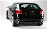 Hofele Audi A3 S3 8PA A4 B6 Cabrio A5 B8 Coupe HD tapetu #7