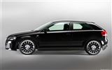 Hofele Audi A3 S3 8PA A4 B6 Cabrio A5 B8 Coupe HD tapetu #8