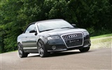 Hofele Audi A3 S3 8PA A4 B6 Cabrio A5 B8 Coupe 奧迪 #10