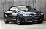 Hofele Audi A3 S3 8PA A4 B6 Cabrio A5 B8 Coupe HD tapetu #11