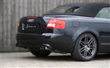 Hofele Audi A3 S3 8PA A4 B6 Cabrio A5 B8 Coupe 奧迪 #12