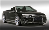 Hofele Audi A3 S3 8PA A4 B6 Cabrio A5 B8 Coupe HD tapetu #13