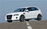 Hofele Audi A3 S3 8PA A4 B6 Cabrio A5 B8 Coupe 奧迪 #14