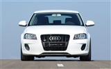 Hofele Audi A3 S3 8PA A4 B6 Cabrio A5 B8 Coupe 奥迪17