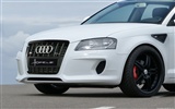 Hofele Audi A3 S3 8PA A4 B6 Cabrio A5 B8 Coupe 奥迪18