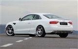 Hofele Audi A3 S3 A4 B6 Cabrio 8PA A5 B8 Coupé HD Wallpaper #23