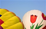 Colorful hot air balloons wallpaper (1) #17