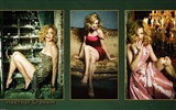 Heather Graham hermosos fondos de escritorio #4