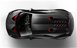 Concept Car Lamborghini Sesto Elemento - 2010 兰博基尼4
