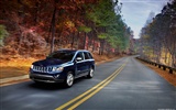 Jeep Compass - 2011 吉普 #7