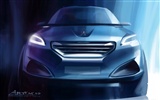 Concept Car Peugeot HR1 - 2010 标志31