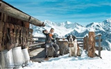 Švýcarský zimě sníh tapety #11