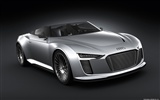 Concept Car Audi e-tron Spyder - 2010 奥迪