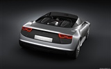 Concept Car Audi e-tron Spyder - 2010 奥迪3