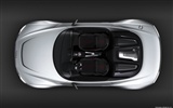 Concept Car Audi e-tron Spyder - 2010 奧迪 #5
