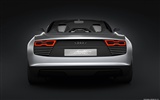 Concept Car Audi e-tron Spyder - 2010 奧迪 #7
