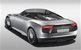 Concept Car Audi e-tron Spyder - 2010 HD wallpaper #15