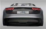 Concept Car Audi e-tron Spyder - 2010 奥迪16