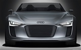 Concept Car Audi e-tron Spyder - 2010 奥迪18