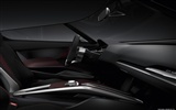 Concept Car Audi e-tron Spyder - 2010 奥迪23