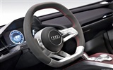 Concept Car Audi e-tron Spyder - 2010 奥迪25