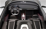 Concept Car Audi e-tron Spyder - 2010 奥迪26