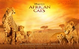アフリカの猫：勇気の王国壁紙 #3