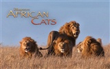 African Cats: Kingdom of Courage Tapeten #6