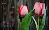 April 2011 Calendar Wallpaper (1) #6