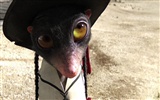 Rango wallpapers #13